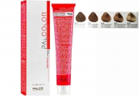 Крем-краска для волос Palco Professional Palcolor-золотисто-пепельные тона